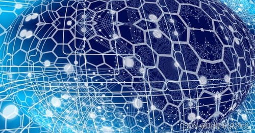 網(wǎng)頁抓取與網(wǎng)頁爬取的區(qū)別及其在自然科學(xué)研究與試驗發(fā)展中的作用